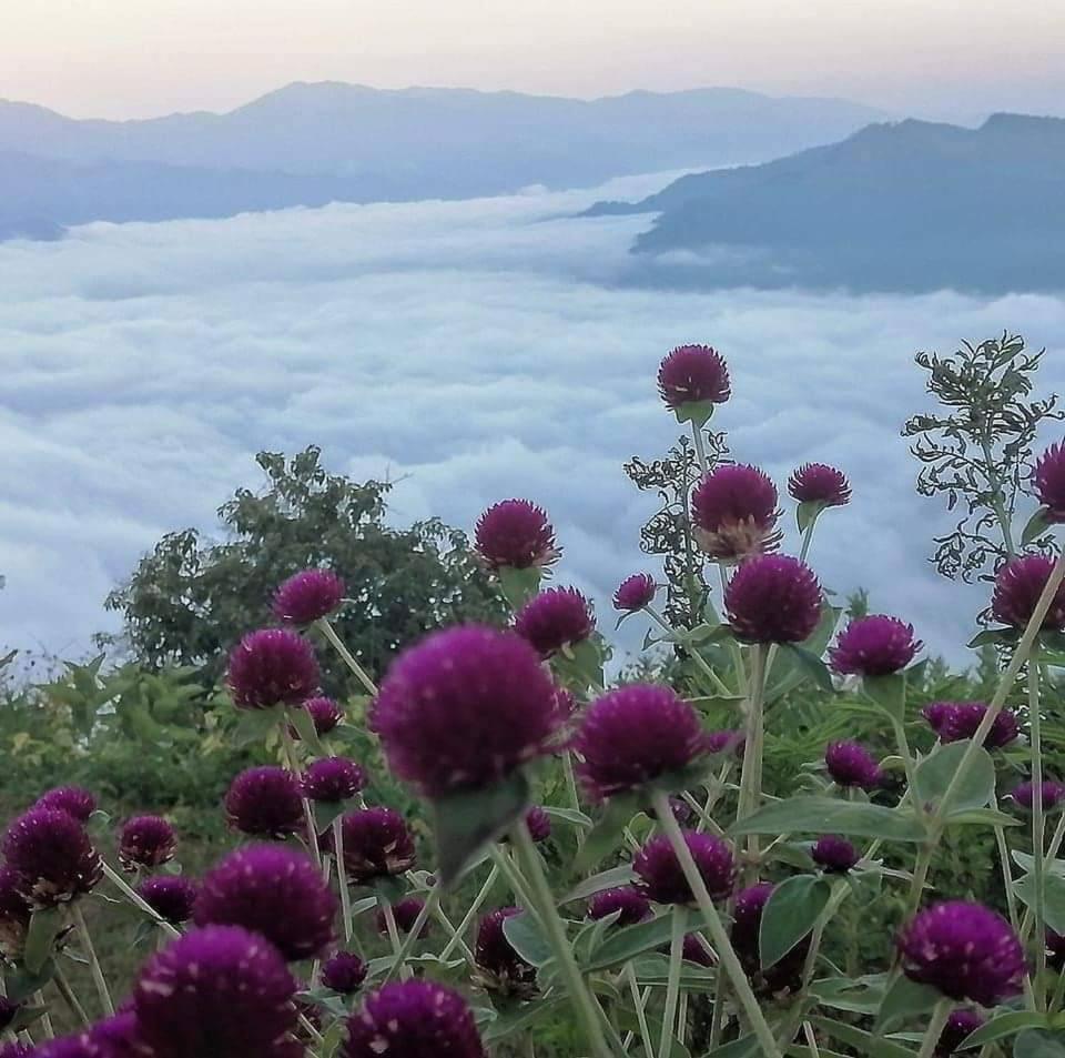 Dream Riverside Mae Sariang Dış mekan fotoğraf